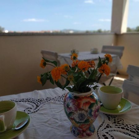 La Casa Dei Fenicotteri Bed & Breakfast Olbia Eksteriør bilde