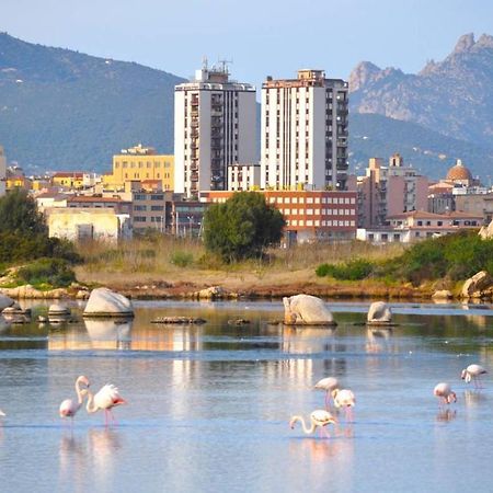 La Casa Dei Fenicotteri Bed & Breakfast Olbia Eksteriør bilde