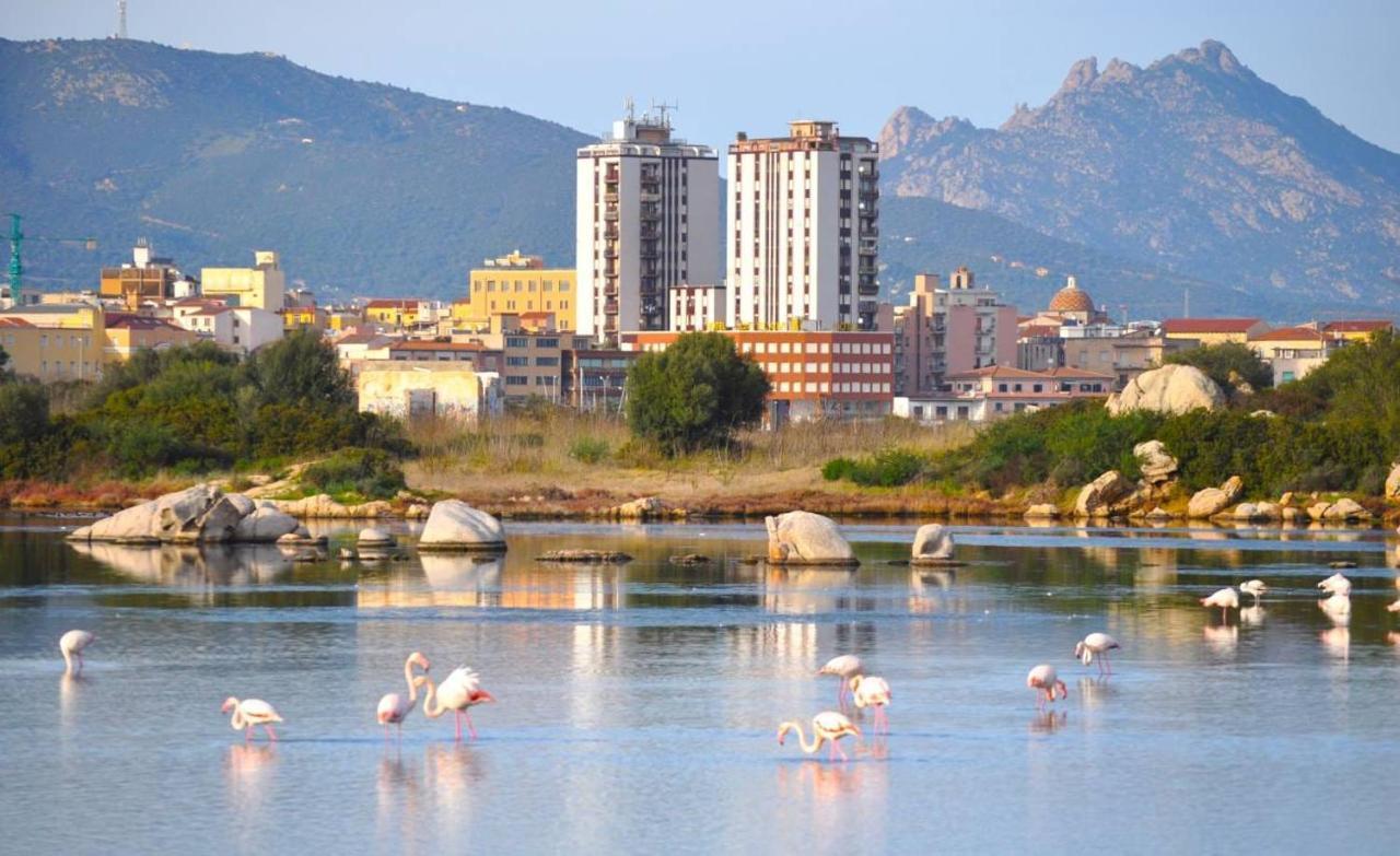 La Casa Dei Fenicotteri Bed & Breakfast Olbia Eksteriør bilde